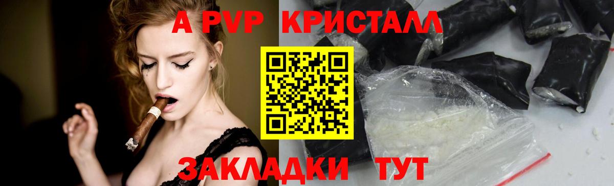 Alfa_PVP СК КРИС Губкинский