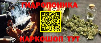 метадон Брянск