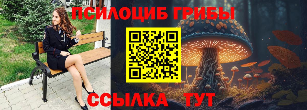 Губкинский  Галлюциногенные грибы мухоморы  Вход с VPN  Галлюциногенные грибы Psilocybine cubensis 