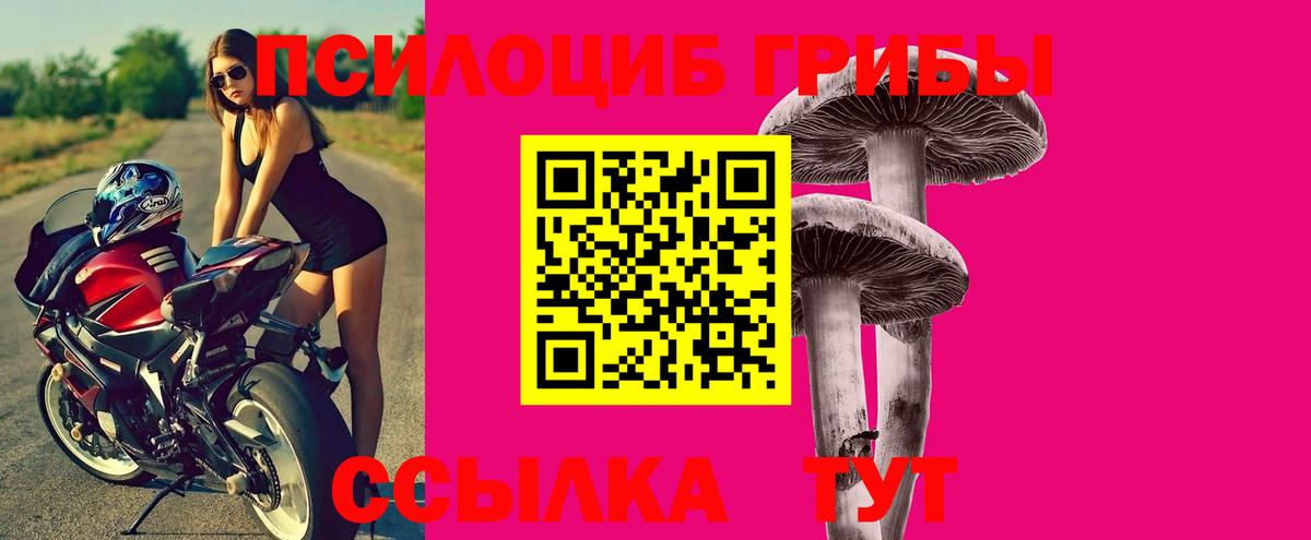 Псилоцибиновые грибы GOLDEN TEACHER Губкинский